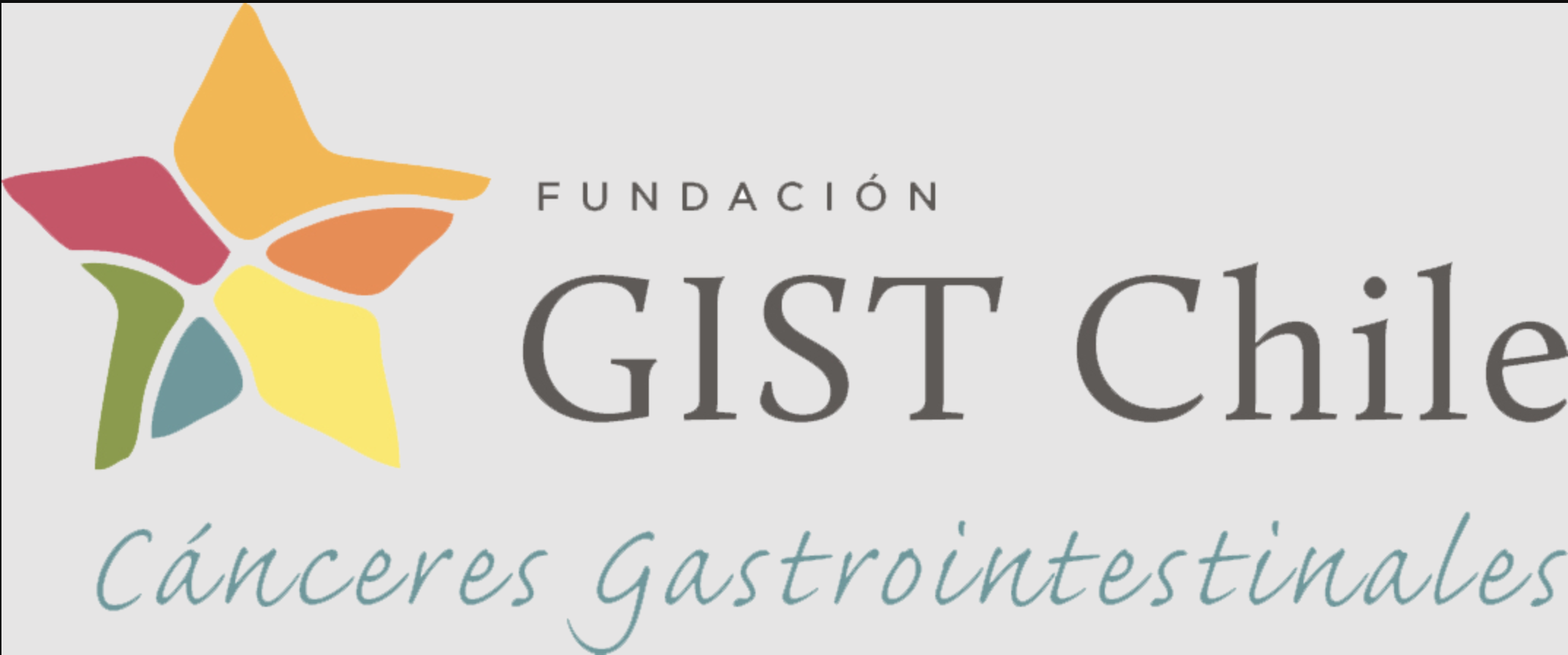 Fundacion_GIST