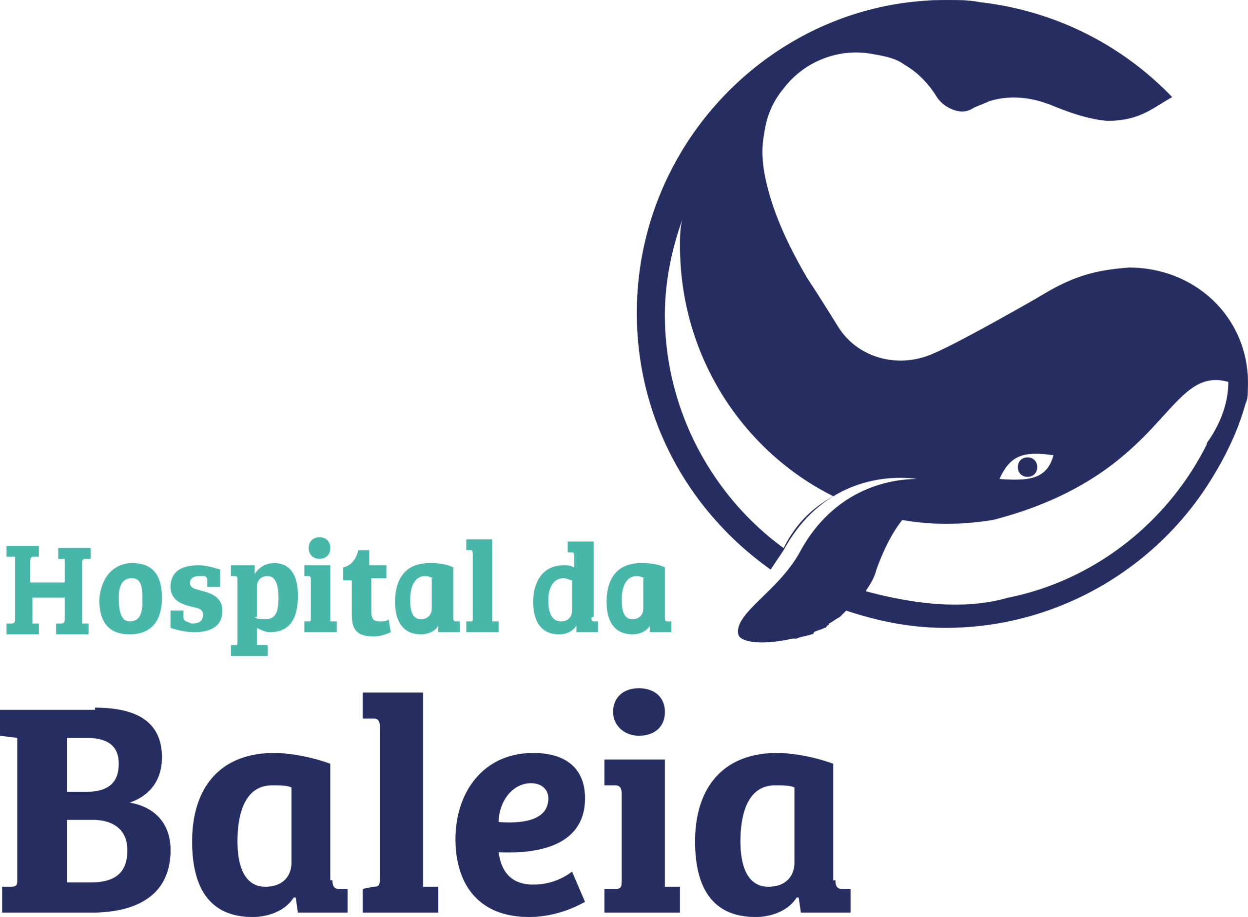 Hospital_da_Baleia